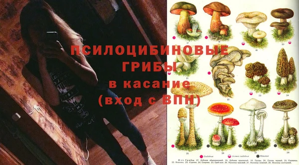 ГАЛЛЮЦИНОГЕННЫЕ ГРИБЫ Белокуриха