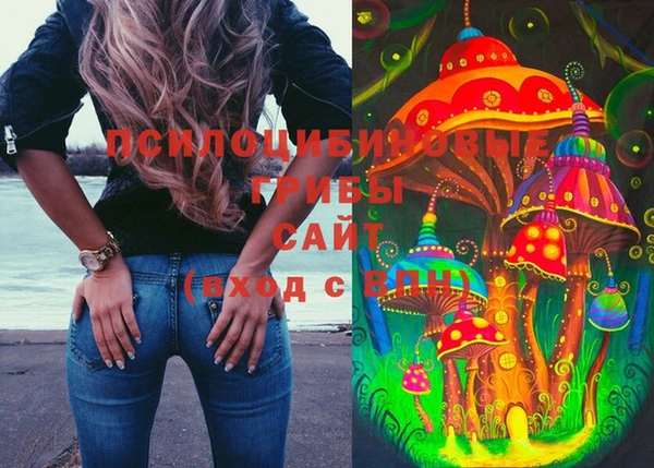 apvp Богородицк