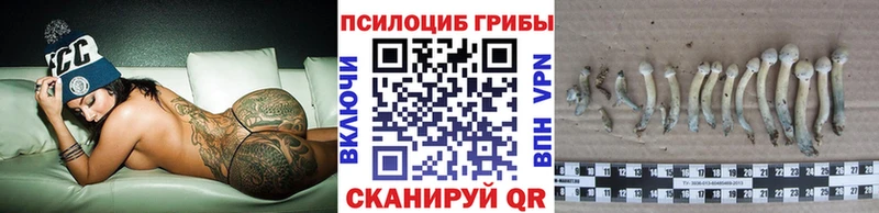 Галлюциногенные грибы Magic Shrooms  Севск 