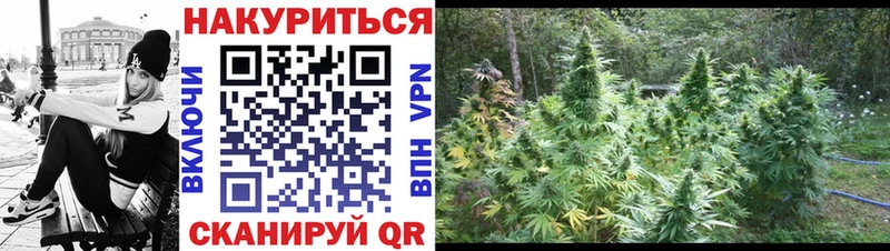 Канабис Bruce Banner  darknet клад  Севск  МЕГА рабочий сайт 